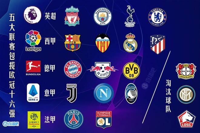 律师张冰质疑经纪人金畅无证还挣浙江上千万，后者回应：满嘴胡言