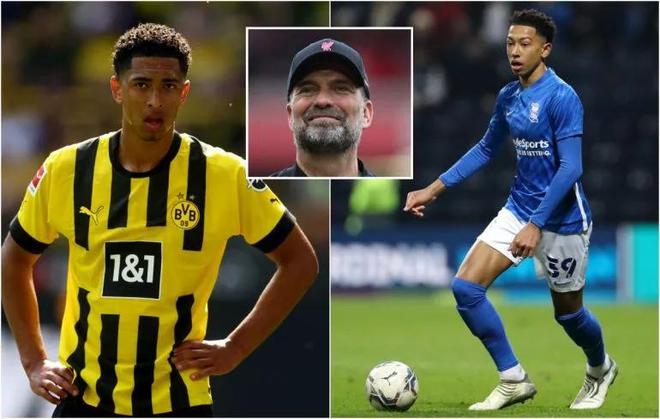 李平康：现征集被戴琳欠钱不还债权人信息，统一报警维权